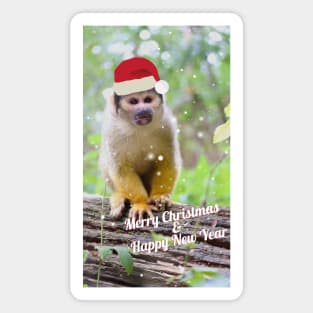 Black-capped squirrel monkey - Merry Christmas & Happy New Year Magnet